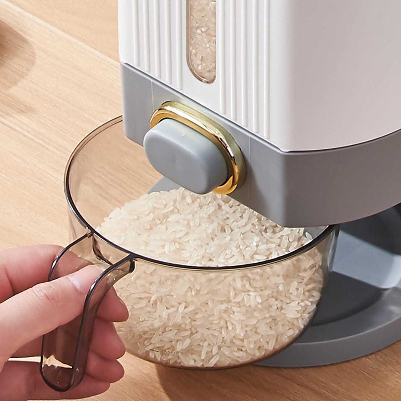 Automatic Rice Dispenser